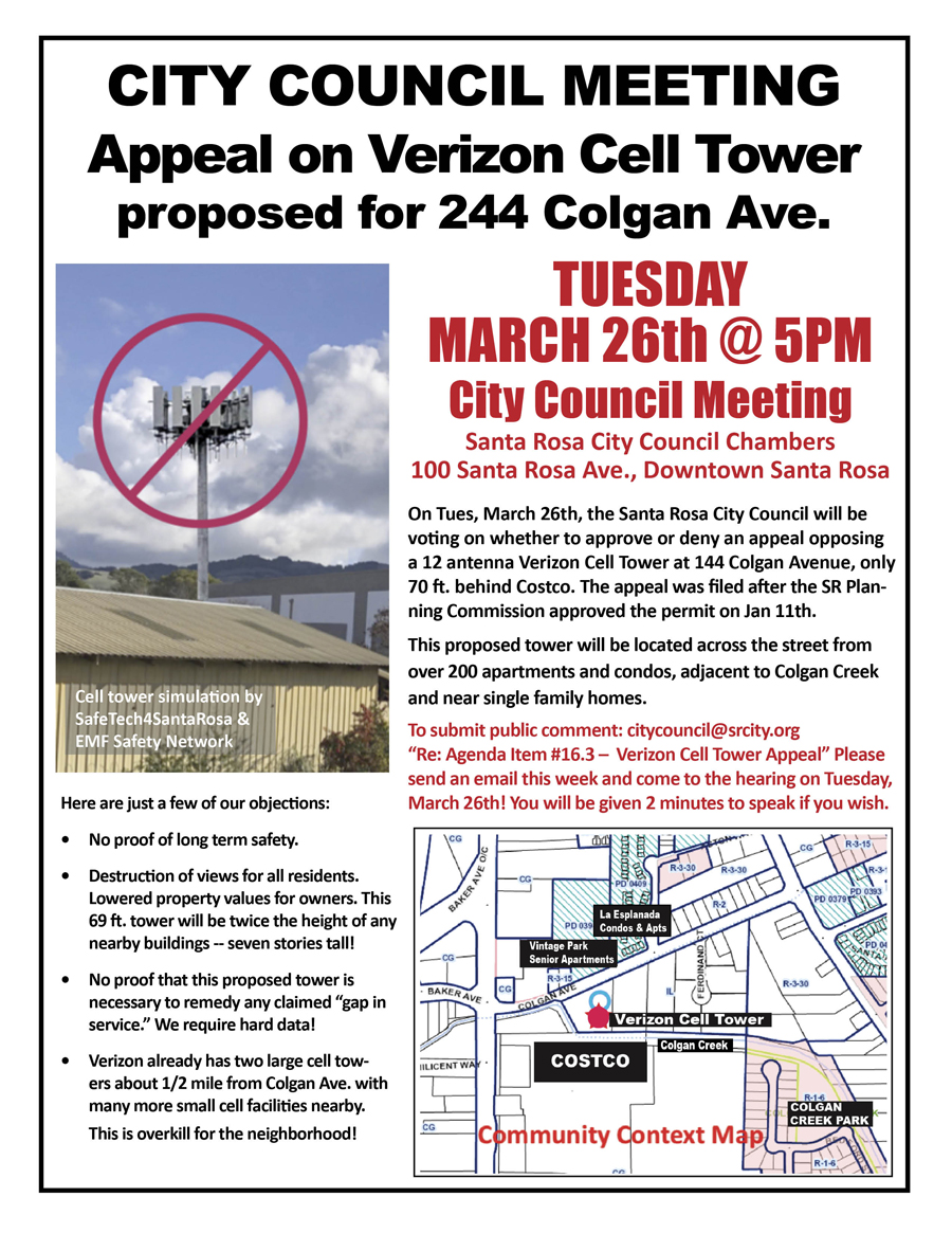 Appeal Verizon Cell Tower permit flyer